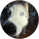 Luca Sostre profile picture